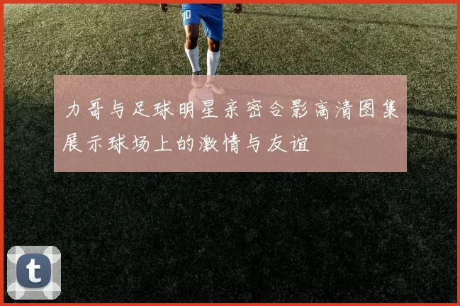 力哥与足球明星亲密合影高清图集展示球场上的激情与友谊