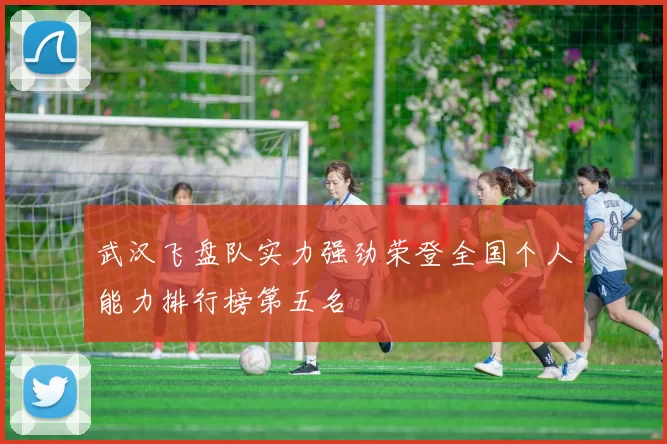 武汉飞盘队实力强劲荣登全国个人能力排行榜第五名