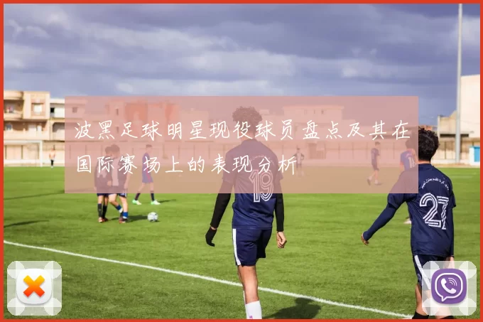 波黑足球明星现役球员盘点及其在国际赛场上的表现分析