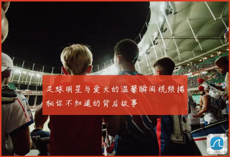 足球明星与爱犬的温馨瞬间视频揭秘你不知道的背后故事