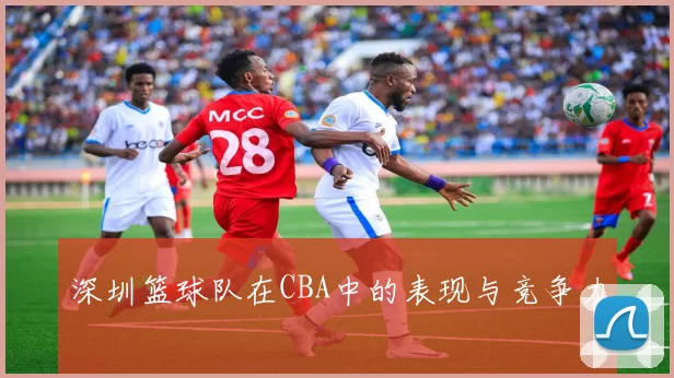 深圳篮球队在CBA中的表现与竞争力
