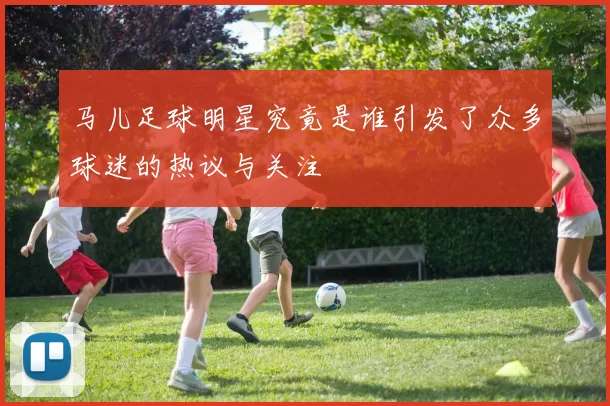 马儿足球明星究竟是谁引发了众多球迷的热议与关注