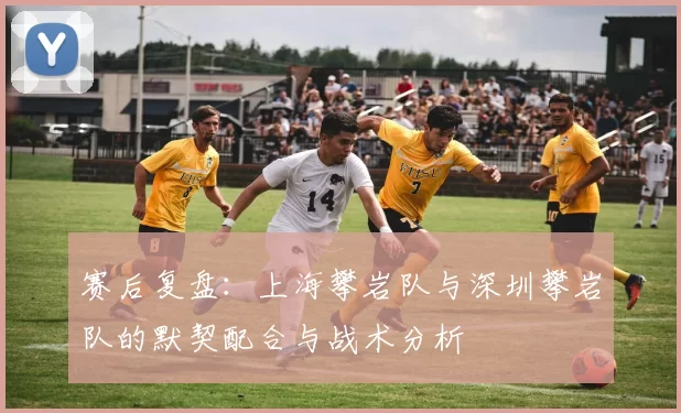 赛后复盘：上海攀岩队与深圳攀岩队的默契配合与战术分析