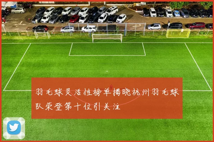 羽毛球灵活性榜单揭晓杭州羽毛球队荣登第十位引关注