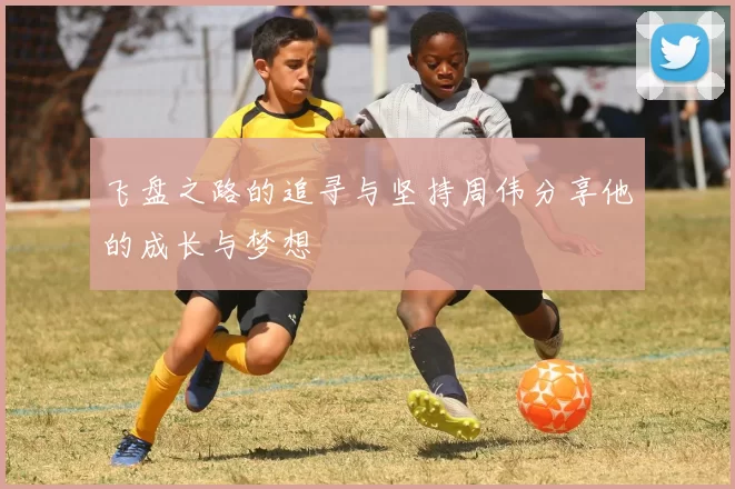 飞盘之路的追寻与坚持周伟分享他的成长与梦想