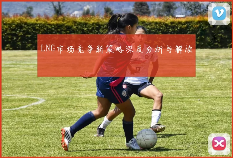 LNG市场竞争新策略深度分析与解读