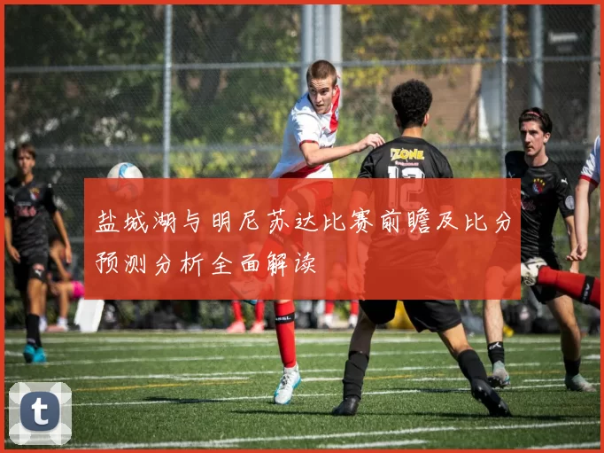 盐城湖与明尼苏达比赛前瞻及比分预测分析全面解读