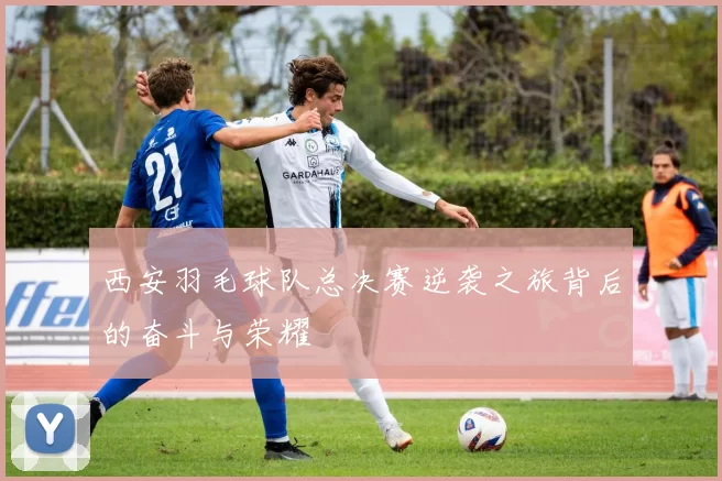 西安羽毛球队总决赛逆袭之旅背后的奋斗与荣耀
