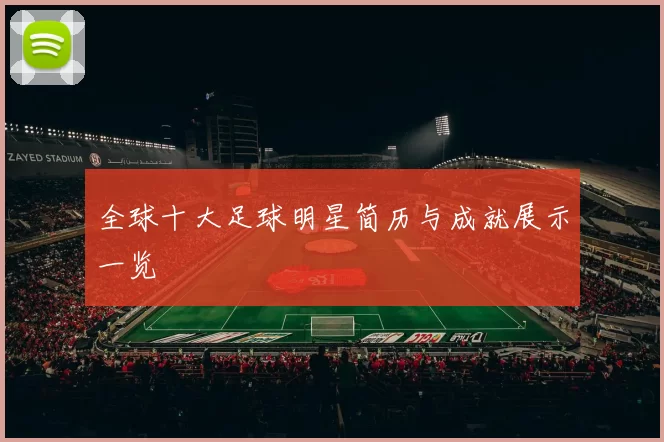 全球十大足球明星简历与成就展示一览