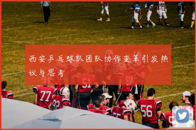 西安乒乓球队团队协作变革引发热议与思考