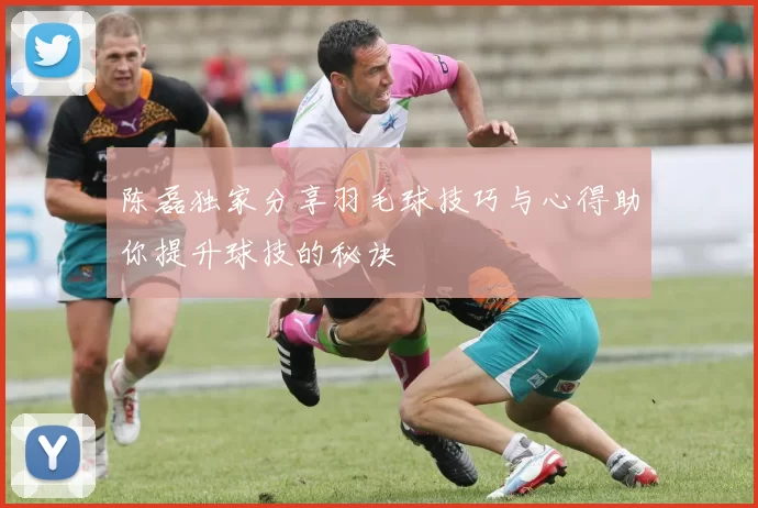 陈磊独家分享羽毛球技巧与心得助你提升球技的秘诀