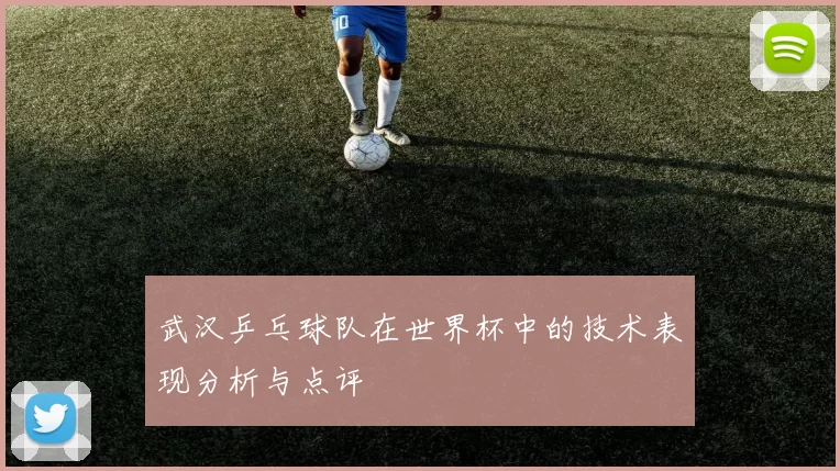 武汉乒乓球队在世界杯中的技术表现分析与点评