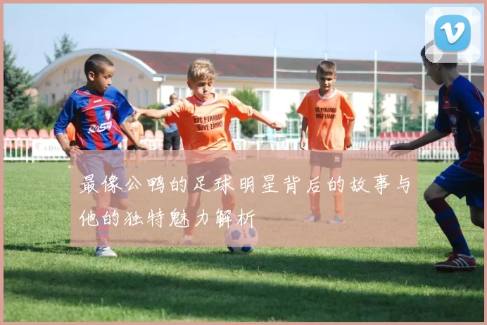 最像公鸭的足球明星背后的故事与他的独特魅力解析