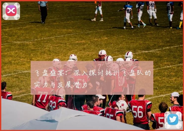 飞盘盛宴：深入探讨杭州飞盘队的实力与发展潜力