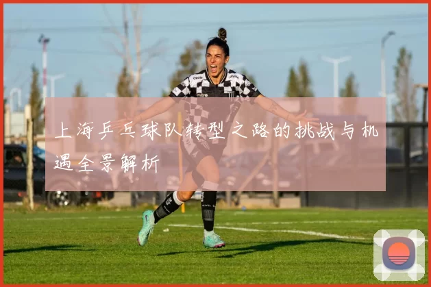 上海乒乓球队转型之路的挑战与机遇全景解析