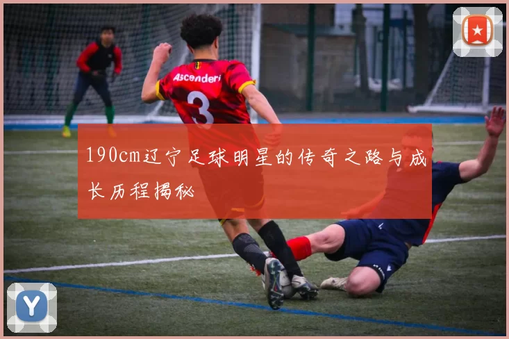 190cm辽宁足球明星的传奇之路与成长历程揭秘