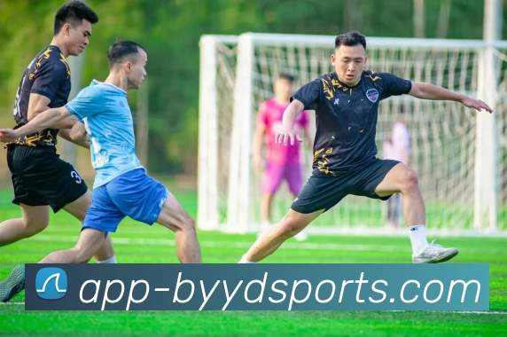 必一运动平台生态图